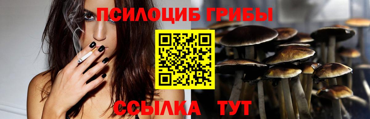 Фролово  Псилоцибиновые грибы GOLDEN TEACHER  Вход с VPN 