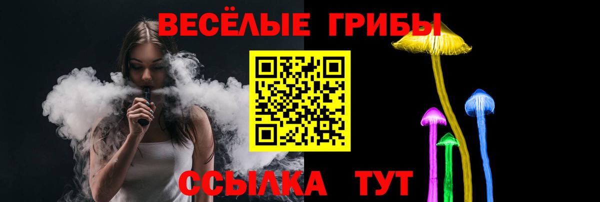 ГАШ Фролово